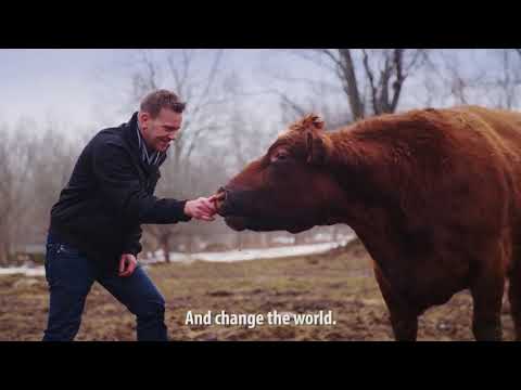 Let's Create A World Without Factory Farming