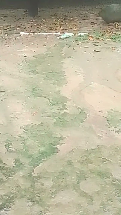 #love #music baris ban jana