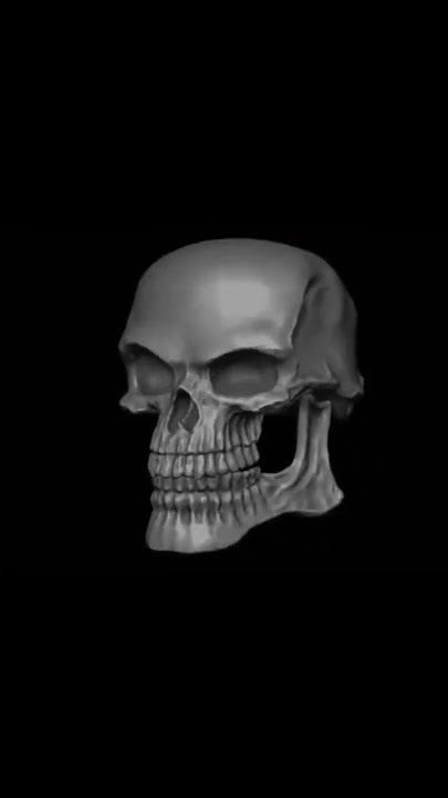 Download lagu a skull smiling 💀 meme video no copyright