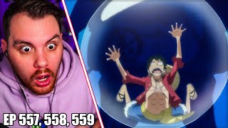 Luffy You're Running Out of Time! || One Piece Episode 557, 558 & 559 REACTION