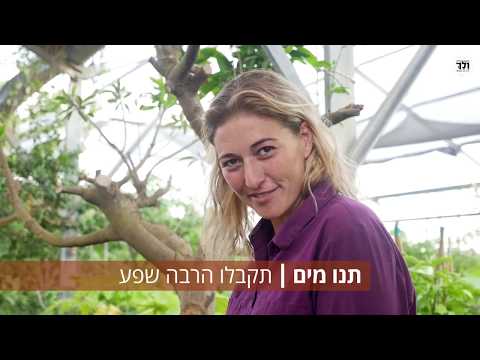 וִידֵאוֹ: כיצד לשתול זרעים בתוך הבית (עם תמונות)