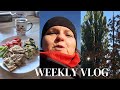 FOOD HAUL Z BIEDRONKI👛PRZEROSŁO MNIE TO🥴TRZBA PCHAĆ TEN WÓZEK🤷♀️KOLEJNE PODEJŚCIE🙄PRAWIE KONIEC😉