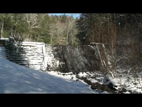 Blanton Forest_Streams_p...  3_Frozen in Time__HD_...