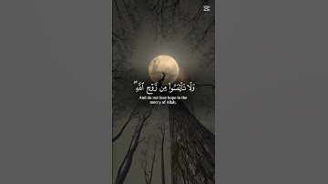 سورة يوسف القرآن الكريم بصوت جميل #المصحف #دويتو #اكسبلور #المراه