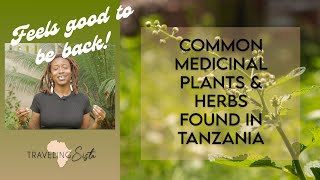 I'm BACK! | Common Medicinal Plants & Herbs Found In Tanzania