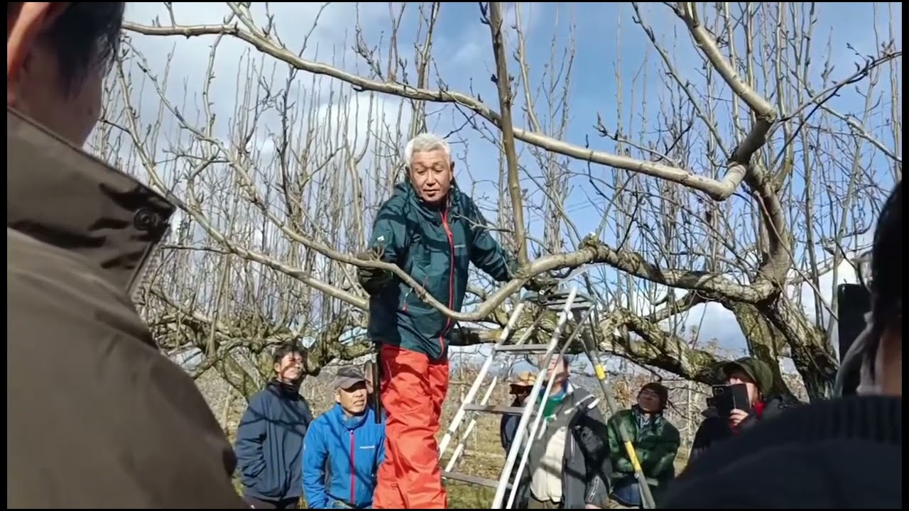 道法スタイル切り上げ剪定セミナー