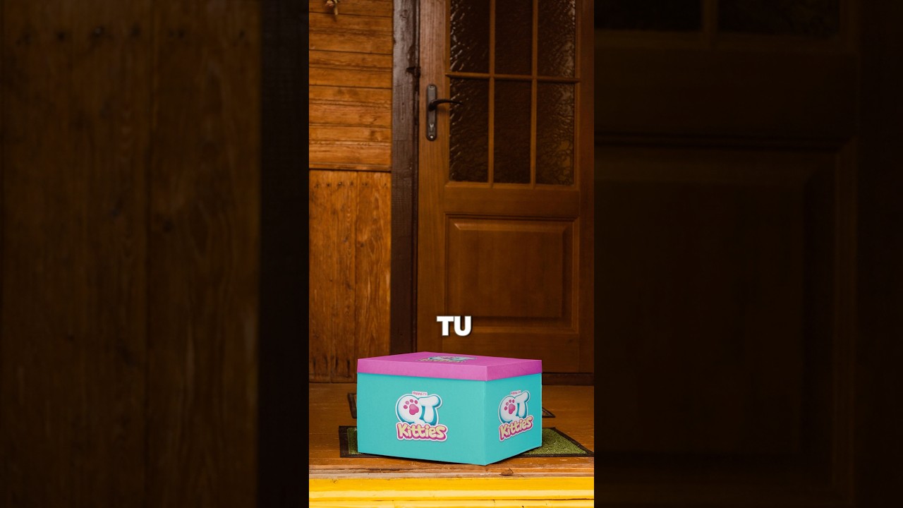 📦🐱 ¡Tus nuevos mejores amigos ya están a un clic! 