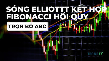 Fibonacci Retracement (Hồi quy) -Công cụ không thể thiếu của Elliott Waves Traders | TRỌN BỘ ABC- P8