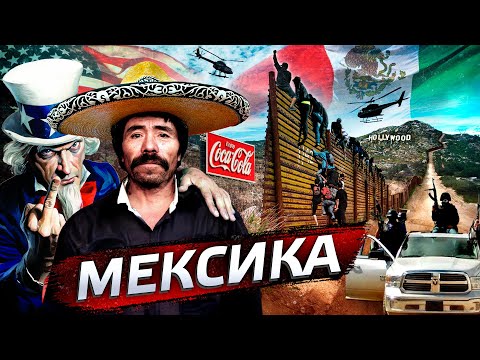 Video: Мексика примуласынын отоо чөптөрүн башкаруу: Мексикалык примула өсүмдүктөрүнөн кантип арылуу керек