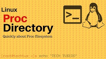 Proc Directory(proc filesystem)