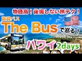 【自由なハワイ旅】路線バス「The Bus」で巡る！人気観光スポット2days｜旅行vlog