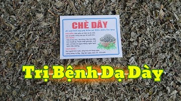 Chè Dây Trị Dạ Dày  - Trào ngược, Hp - Giá 100k/1kg