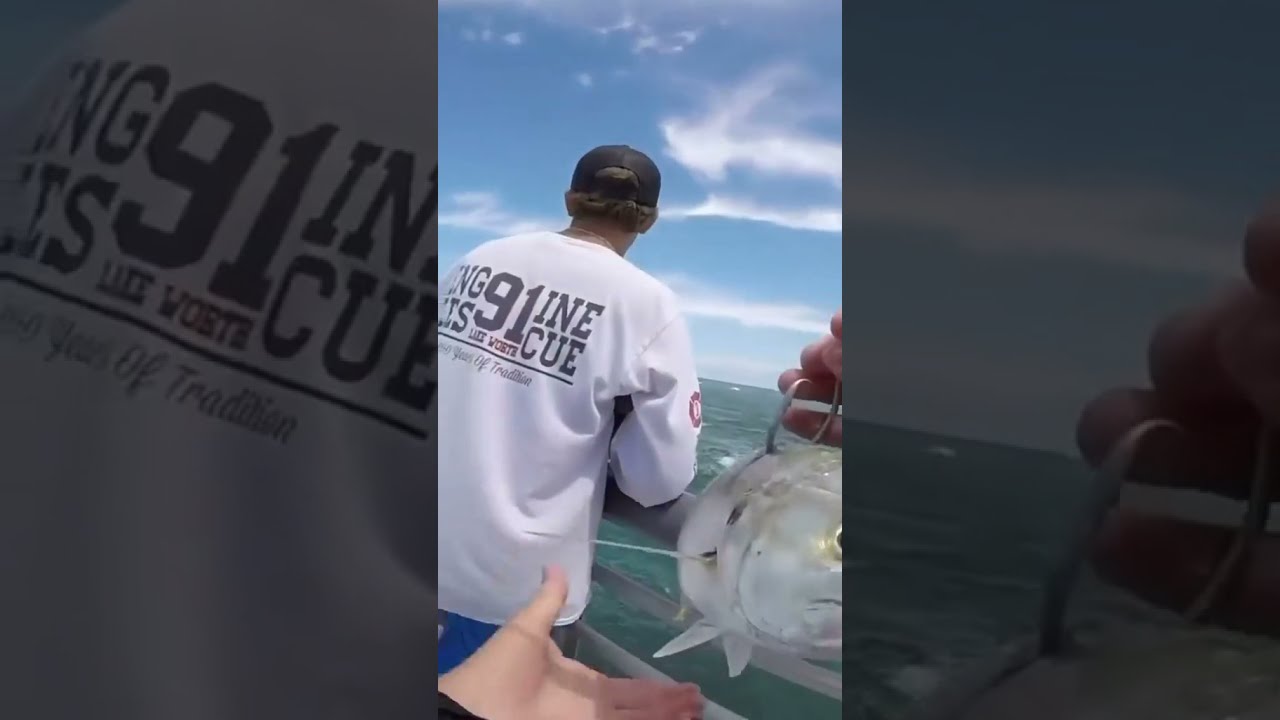 Wow Big Fish Live Casting Fishing 354