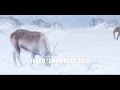 Ivalo showreel 12016