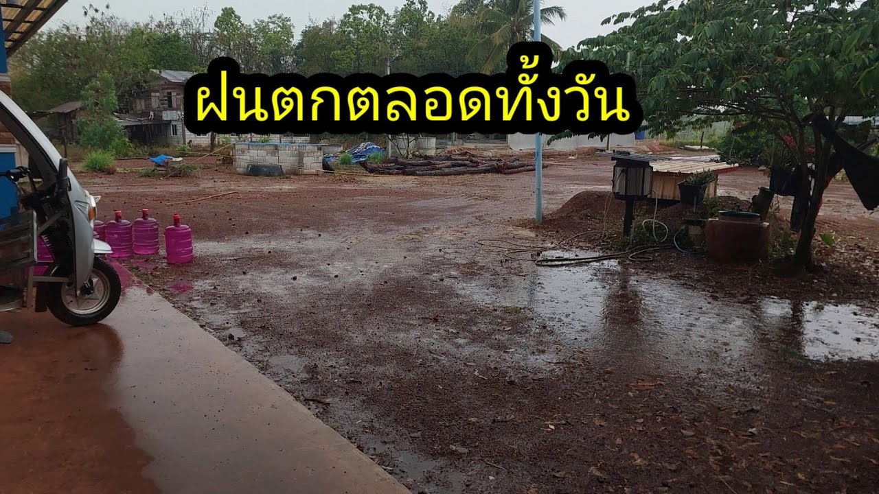 ฝนตกตลอดทั้งวันเลยวันนี้#จิตอาสา 