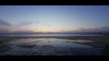 Σπύρος Δεληγιαννόπουλος: "Η αυλή των θαυμάτων" (Κ. Γκουβέντας, Π. Τσόκα, Δ. Τασούδης)