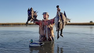 Duck Hunting with One Decoy and One Spinner