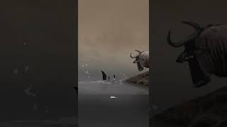 Celebrity Never Argue With Idiots | Motivational Video #shorts #quotes #youtubeshorts #mindset Net Worth