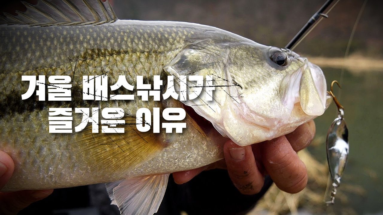 [박기현의 피싱로그99.9] #132회 겨울 배스낚시가 즐거운 이유