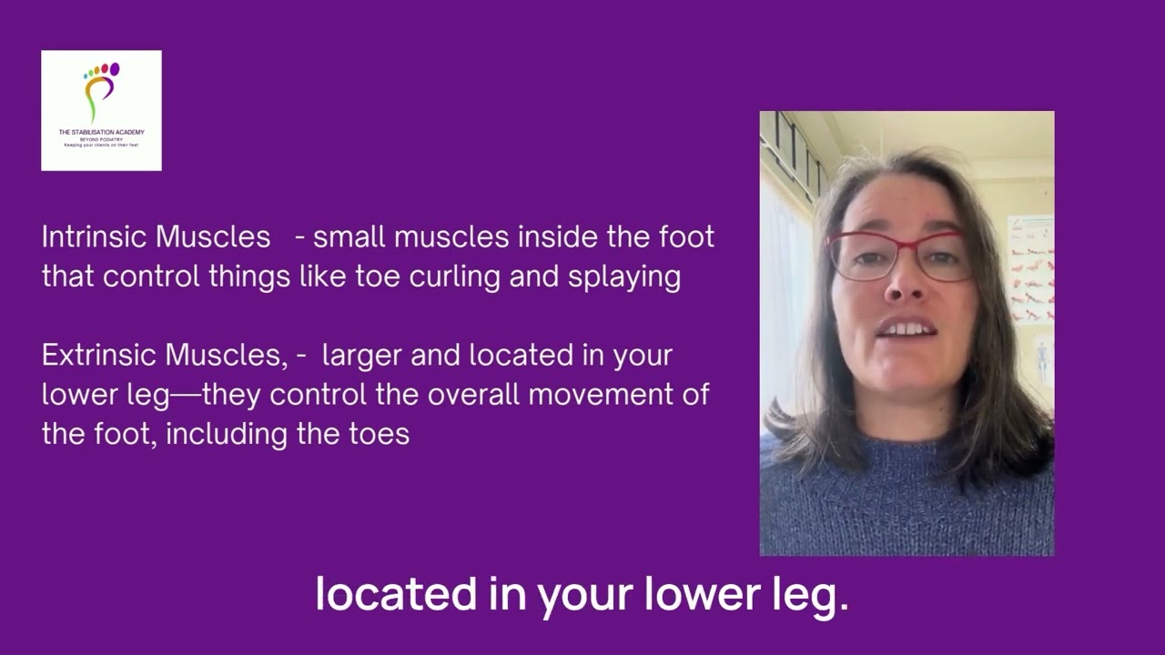 The Hidden Heroes of Balance: Why Your Minor Toes Matter 