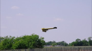 NDVI index on vineyards damaged by frost detected by UAV