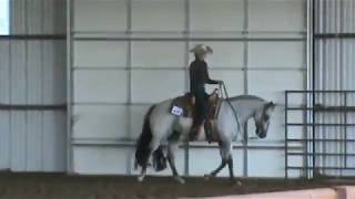 Ruby Bright POA mare -Western pleasure clases 2017