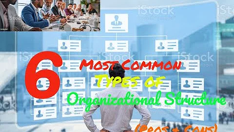 6 Most Common Organizational Structures (Explained)