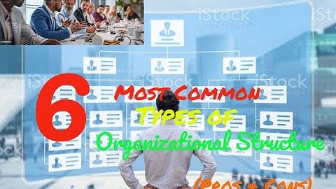 6 Most Common Organizational Structures (Explained)