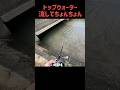 【一度は試したことあるやつ】バス釣り