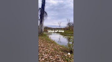 تلاوة خاشعة #اكسبلور #تلاوة_خاشعة #قرآن #راحة_نفسية #اقنباسات #ترند #لايك #يوم_الجمعة