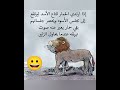 الحمار ها يفضل حمار