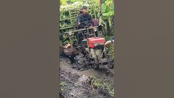 #shorts mùa mưa xe công nông hai cầu chở chuối cực khỏe #shortvideo #xe_công_nông