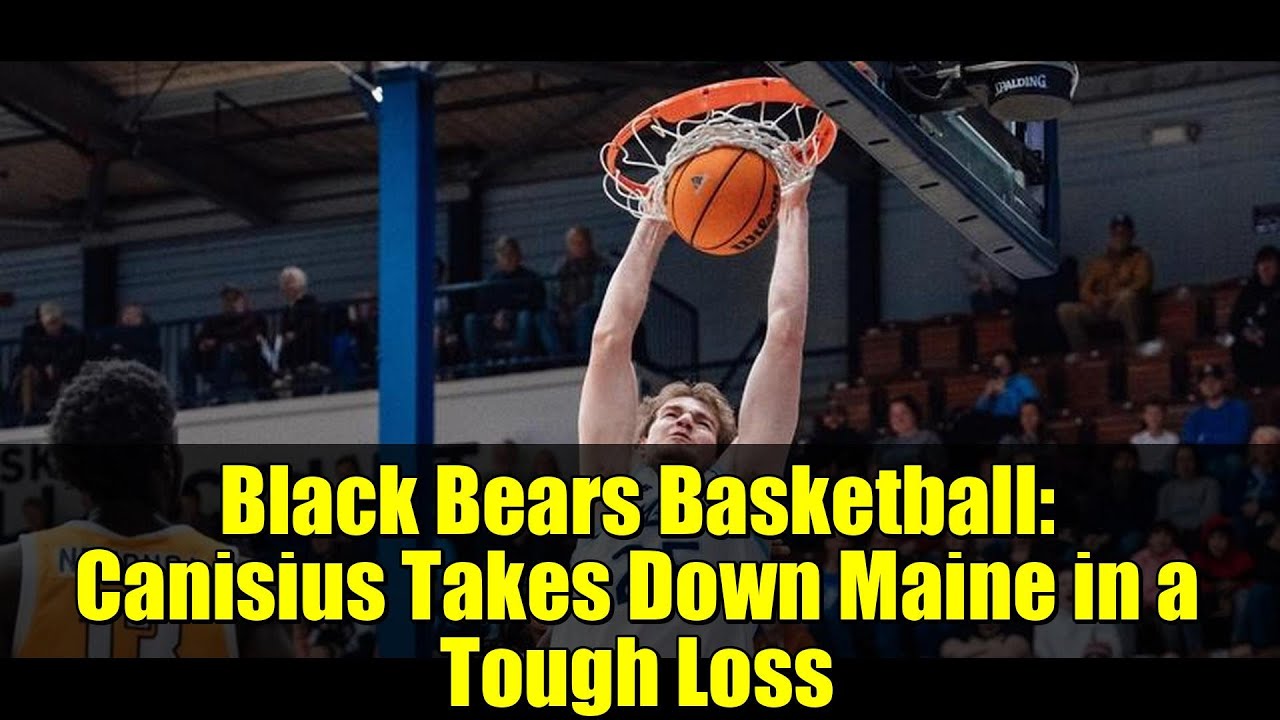 Баскетбольная команда «Блэк Беарс»: «Канисиус» одержал трудную победу над «Мэйн».