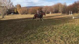 Ruby Rides Part 2