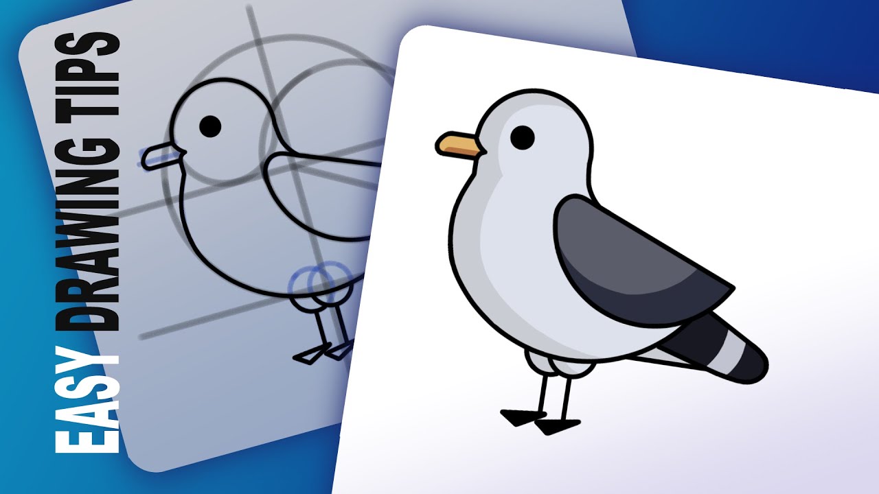 How To Draw A Seagull | Step By Step - YouTube