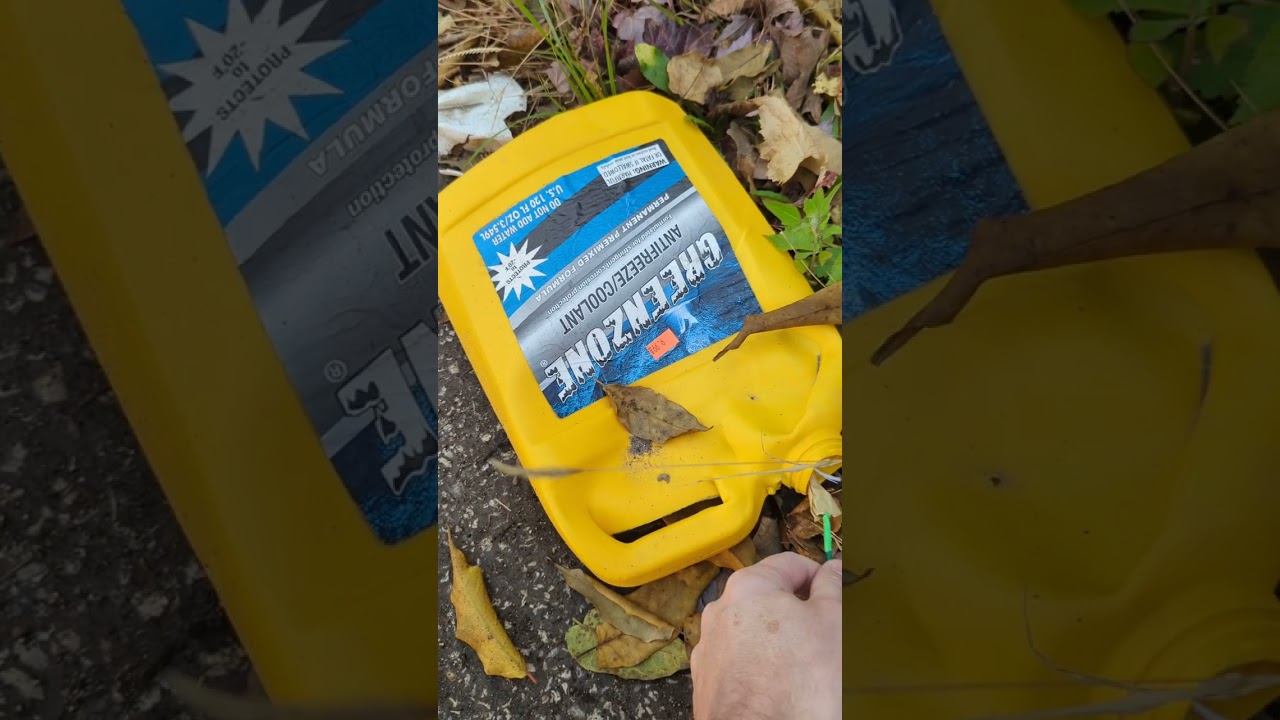 Angry Birds 2" Spanish Cracker