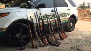Marijuana Eradicated In Merced County