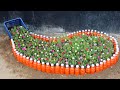 How to Recycle Plastic bottles into Unique Spilled Flower Pot