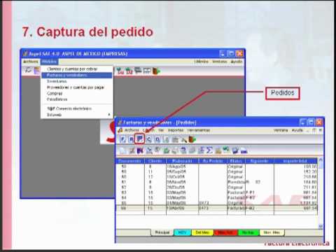 aspel sae 4.6 aspel sae 4.6