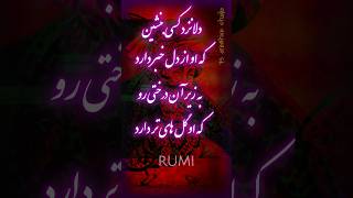 Rumi -  دلا نزد کسی بنشین