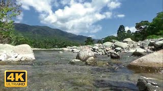 Download Lagu 1 Jam Suara Gemericik Air di tengah pegunungan, airnya sangat jernih MP3