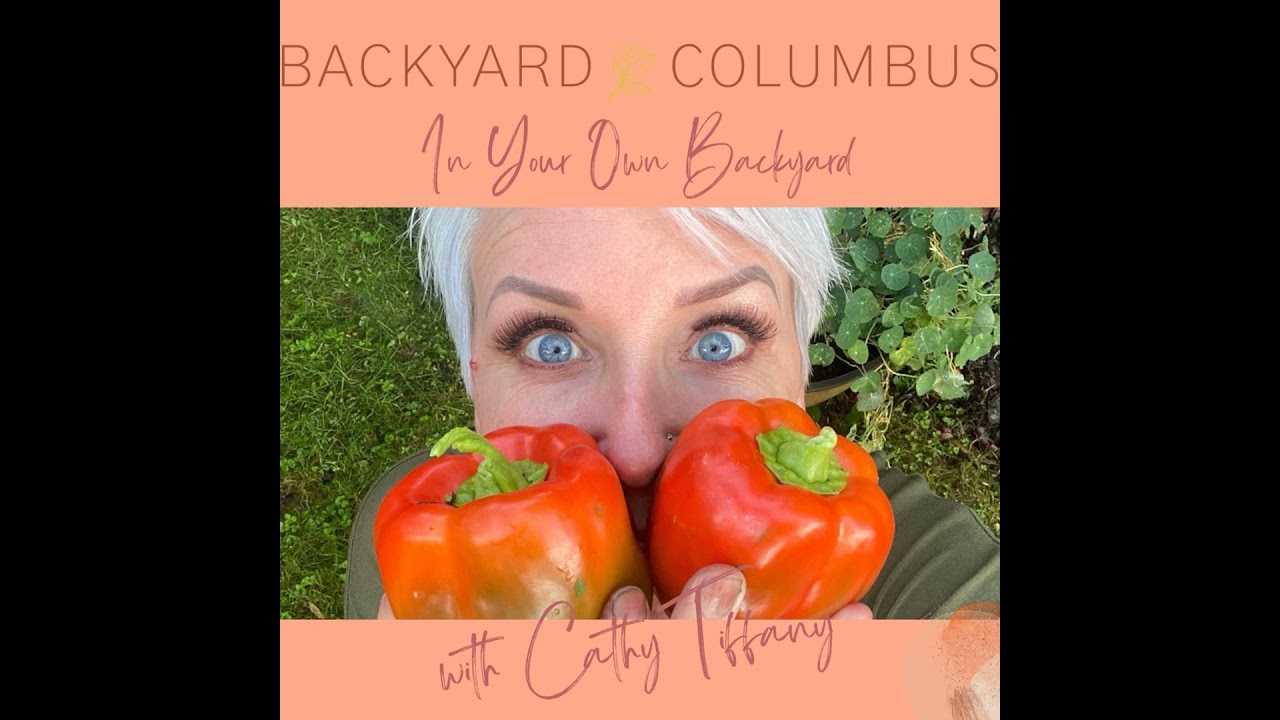 Why Starting a Pollinator Garden is a Great Idea