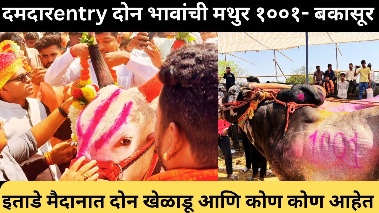 मथुर १००१-बकासुर ६३००cc ची दमदार entry इताडे मैदानात 😍💯