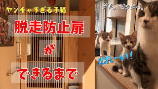 【猫脱走防止】アラフォー女によるDIY