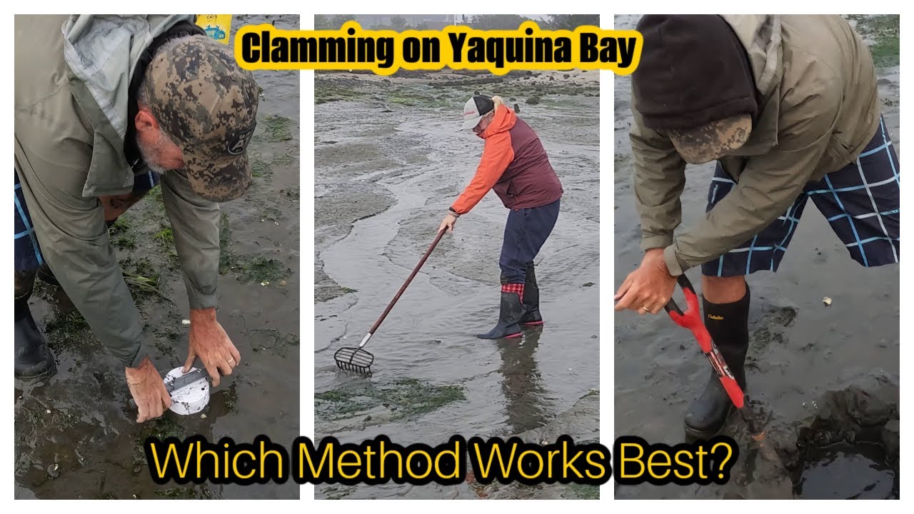Clamming Yaquina Bay: Oregon Locals vs. New Jersey Rake! | Catch & Cook Clam Chowder