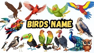 Birds Name 🦜 Birds Name In English With Pictures \& Videos | Bird Species #kids #birds #learnenglish