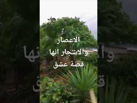 رياح قوية سرعة ١٠٠ كيلو متر في الساعة 