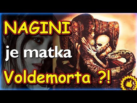 Video: Je Harry Potter vzdialene príbuzný Voldemortovi?