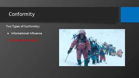 Everest Case Analysis Video