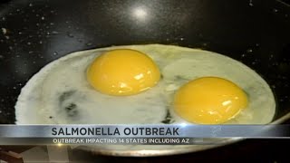 CDC issues food safety alert following Samonella outbreak